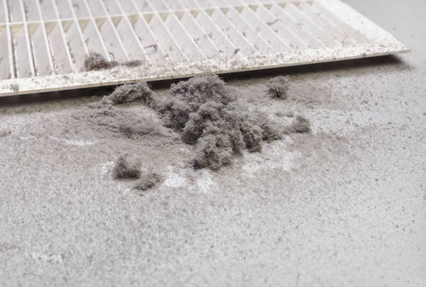Best Local Air Duct Cleaning Services  in Pocono Ranch Lands, PA